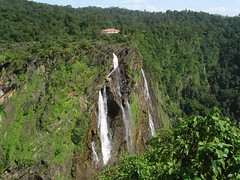 The view of Jog Falls from the other side_ Raja in the foreground