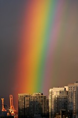 Rainbow by Flickr user Proggie