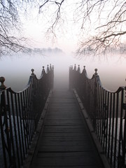 Into the fog - by raindog