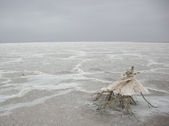 Lake Eyre South: A Massive 'Lake' Of Salt