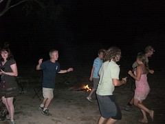 Campfire Party Action!