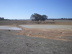 Dam is drying up