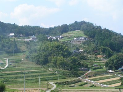 paysage japonais campagne