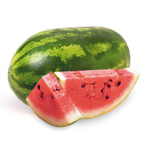 watermelon by giniger.