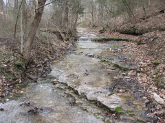 creek 3
