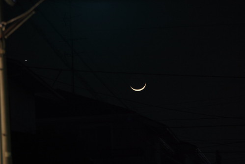 Crescent Moon and Vinus