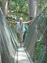 Ros on a canopy skywalk in Borneo - 2007