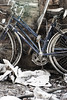 Blue Bicycles