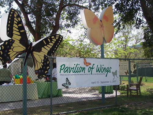 Pavilion of Wings