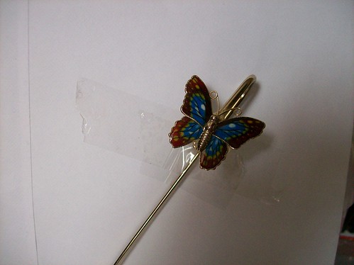 Butterfly April 2007