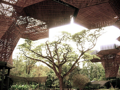 Orquideorama image via ATOM Arquitectura