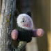 Needle Felted Finger Puppet HAPPY