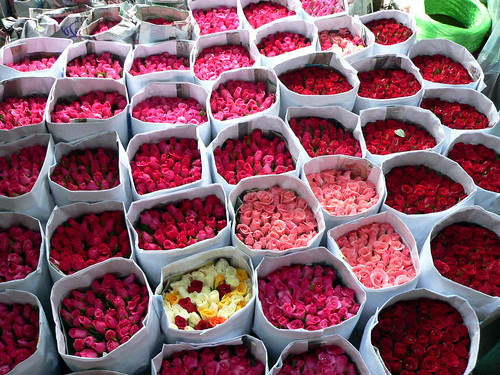 Roses in Chinatown, Bangkok, Thailand