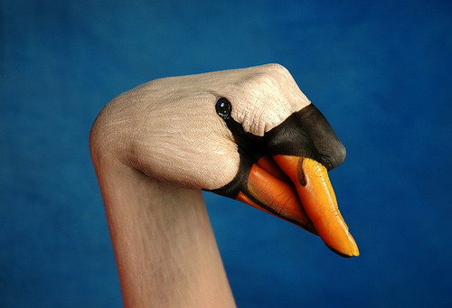 Hand swan