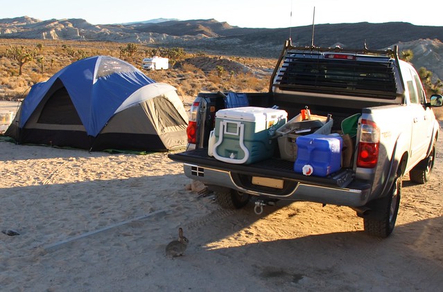 california camping camp usa rabbit bunny truck canon geotagged desert pickup tent ricardo redrock redrockcanyonstatepark tundra californie jackrabbit redrockstatepark toyotatundra kerncounty ricardocampground redrocksp geo:lat=353735229100465 geo:lon=11799678886586 ricardocamp redrockcanyonsp