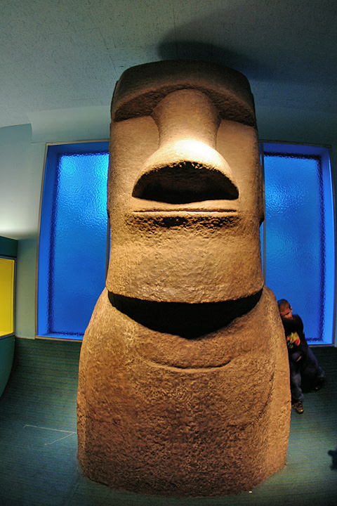 AMNH moai