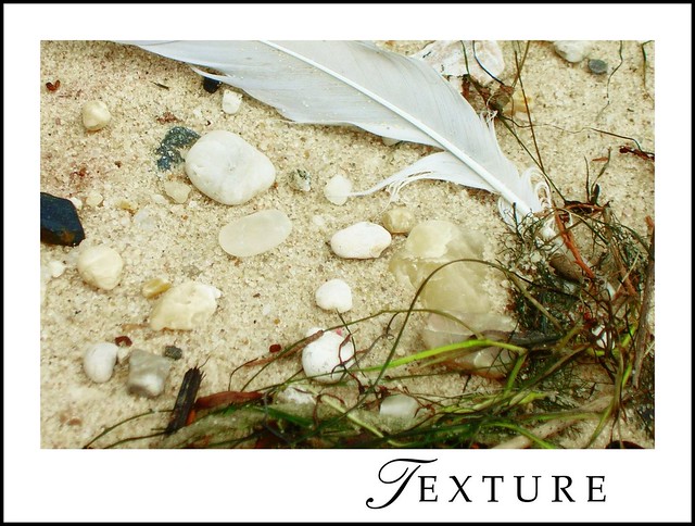 The Archives: Nature's Textures