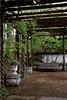 鶴見緑地フランスの庭園