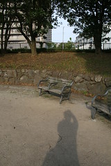070505 park, shadow
