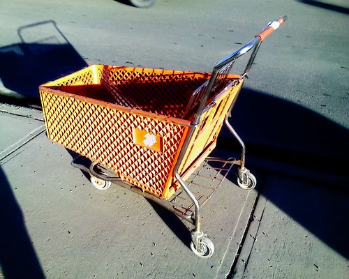 shopping cart #18