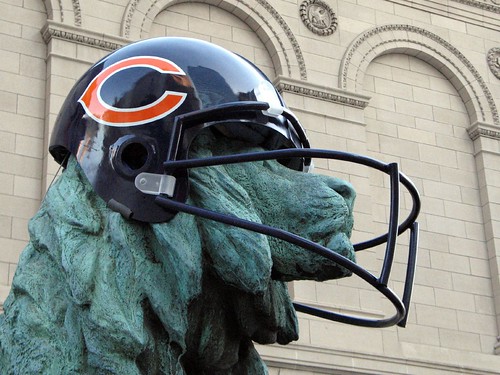 Lions in Bears Helmet, closeup