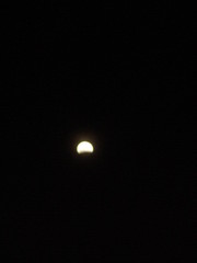 Eclipse Lunar1