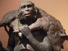 Model of Neandertal Man whose skeleton was fir...