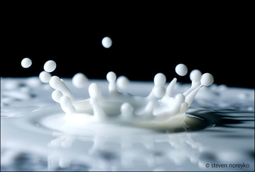 milk drop