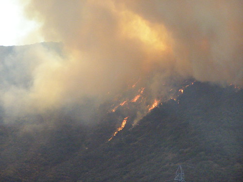 Fire in Hollywood Hills Picture
