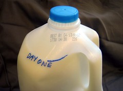 milk 7