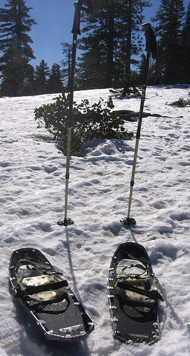 Snowshoes and poles at Yosemite National Park