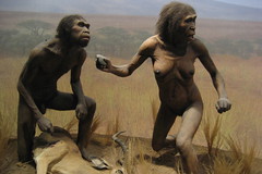 NYC - AMNH: Spitzer Hall of Human Origins - Ho...