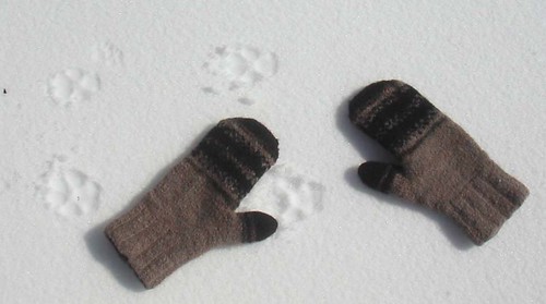 mitts in snow