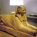 2000 20 Sfinx van Hatsjepsut, Metropolitan Museum by Hans Ollermann