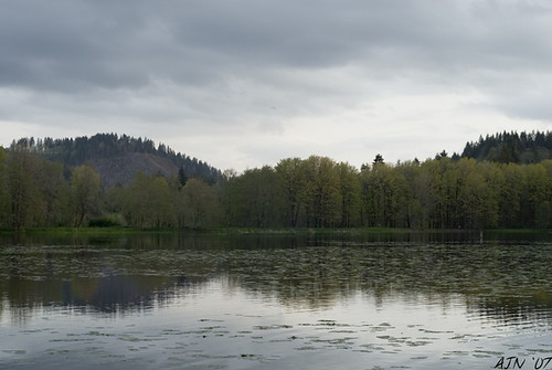 Vernona lake
