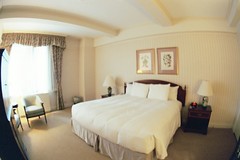 the warwick hotel, room 2410