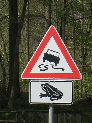 Slippery Frogs Sign