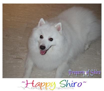 Happy Shiro