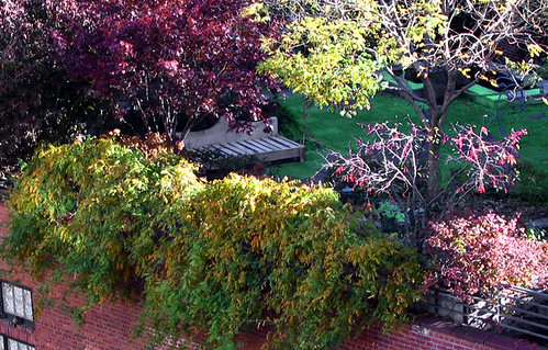 Terrace Roof Garden Img_1126a by Lanterna