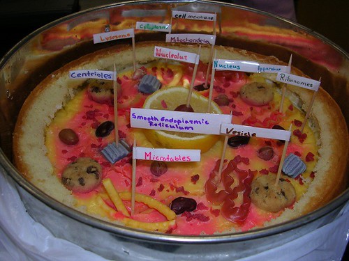animal cell project pictures. Edible Cell Project
