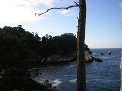 Seascape 3: Point Lobos State Reserve