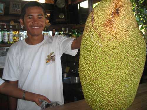 Chab's giant fruit