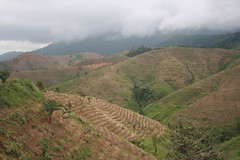 Deforested hills in Vietnam's Central Highlands