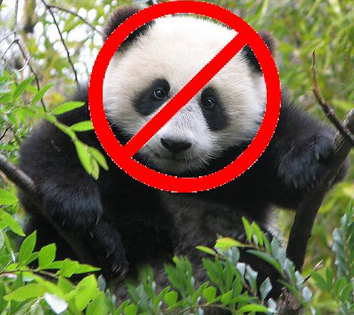 sad panda Far be it from me to call cronyism but nature seems to have a