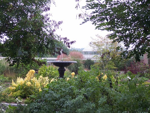 The Sytematic Garden at Tower Hill