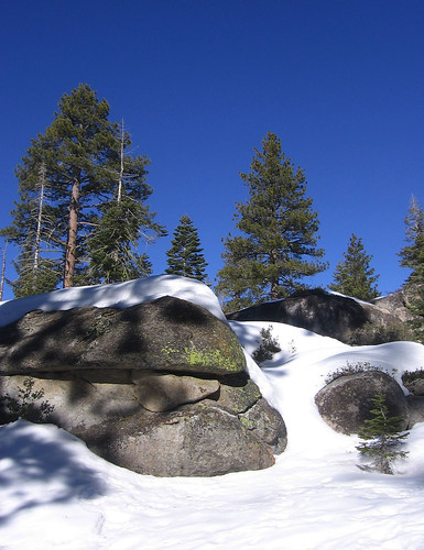 Rocks, trees, snow, sky
