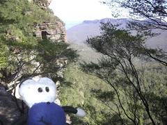 Squage In The Blue Mountains