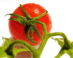tomato avec aqua