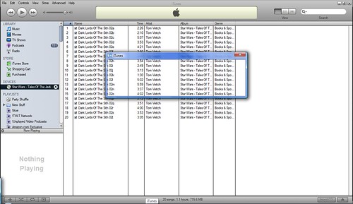 iTunes in Vista 04