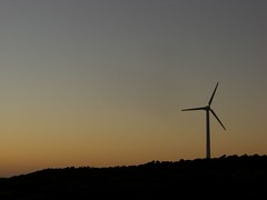 Windfarm At Dusk